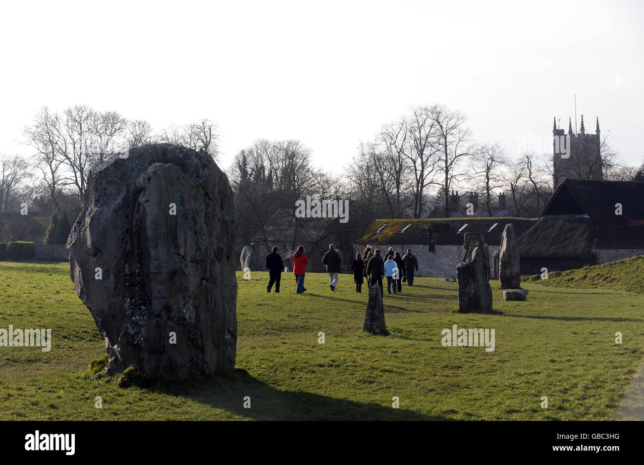 Pietre si trovano vicino ai castagni malati di cavalli nella tenuta di Avebury nel Wiltshire. Un viale di 28 castagne storiche è caduto vittima di una malattia vorace che spazzano gli alberi della nazione e deve essere abbattuto. Foto Stock