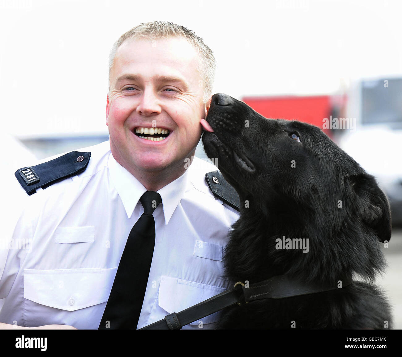 La polizia cane salvato dal flusso dopo chase Foto Stock