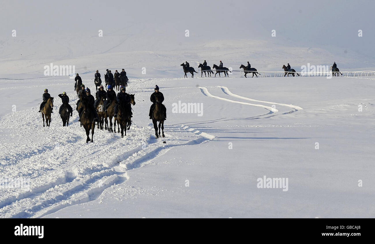 Corse di cavalli - Cavalli palestra a Middleham Foto Stock