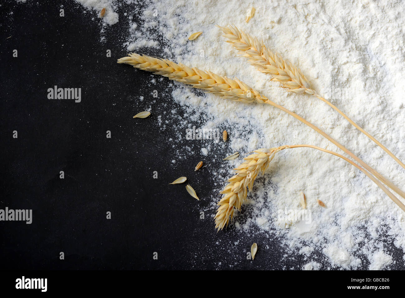 Tutta la farina di frumento e orecchie su sfondo nero Foto Stock