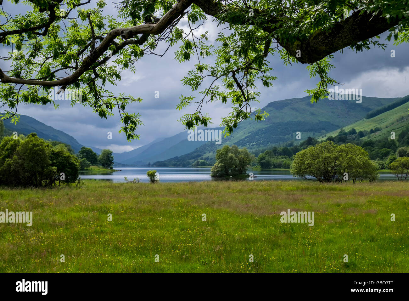 Iconici paesaggio scozzese cerca attraverso gli alberi verso Loch Voil Da Balquhidder. Foto Stock