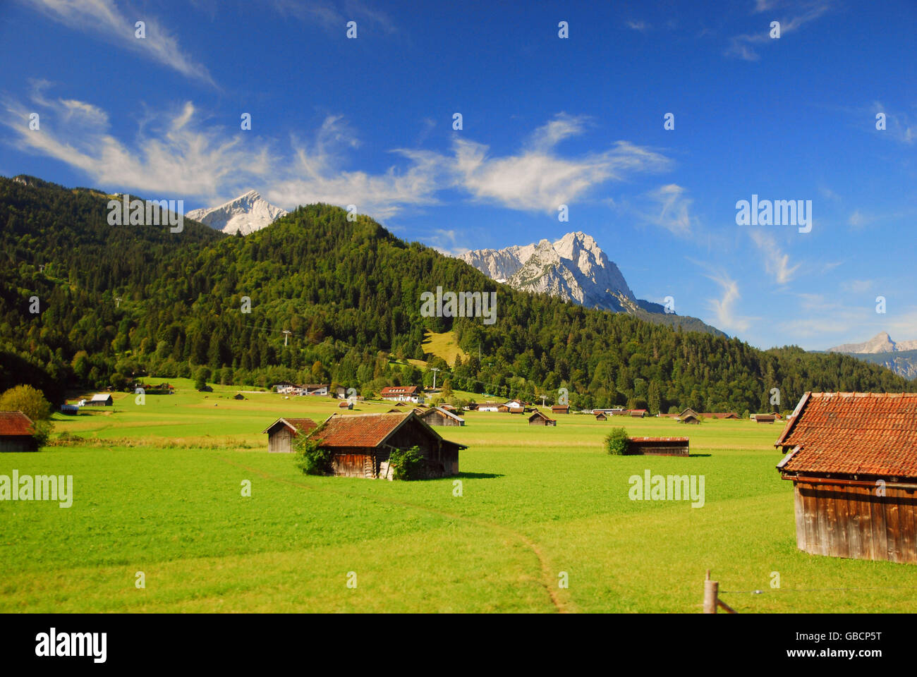 Pascoli alpini, montagne Waxntein e Alpspitze, montagne del Wetterstein, Garmisch-Partenkirchen, Baviera, Germania Foto Stock