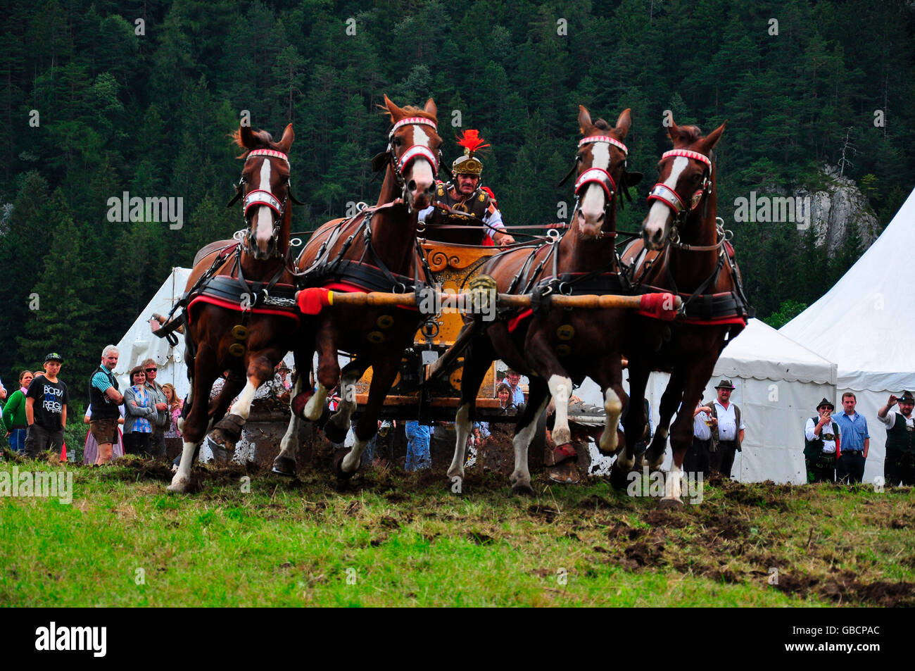 Cavallo e carrello carrello romano, Georgi Ride, celebrazione equino, Isar Valley, Mittenwald, Garmisch-Partenkirchen, Alta Baviera, Baviera, Germania Foto Stock