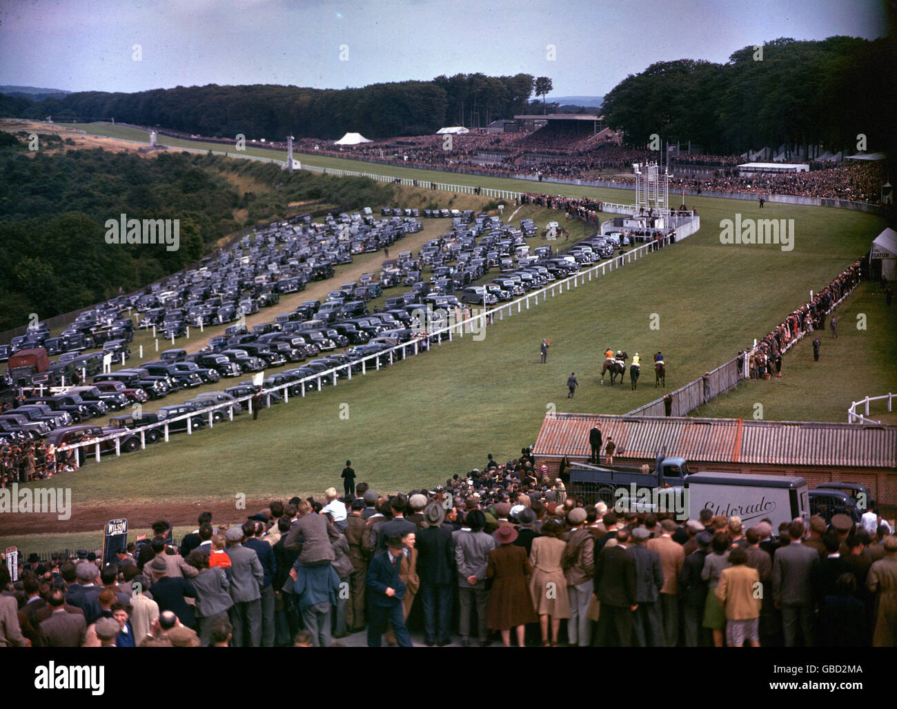 Horse Racing - Goodwood Cup - Goodwood Racecourse Foto Stock