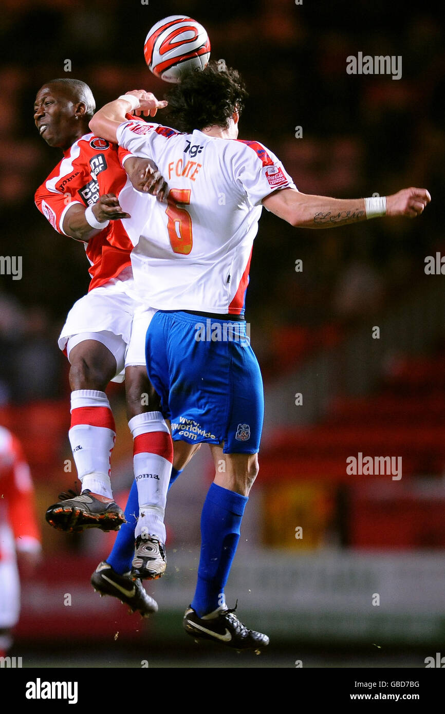 Calcio - Coca Cola Football League Championship - Charlton Athletic v Crystal Palace - La Valle Foto Stock