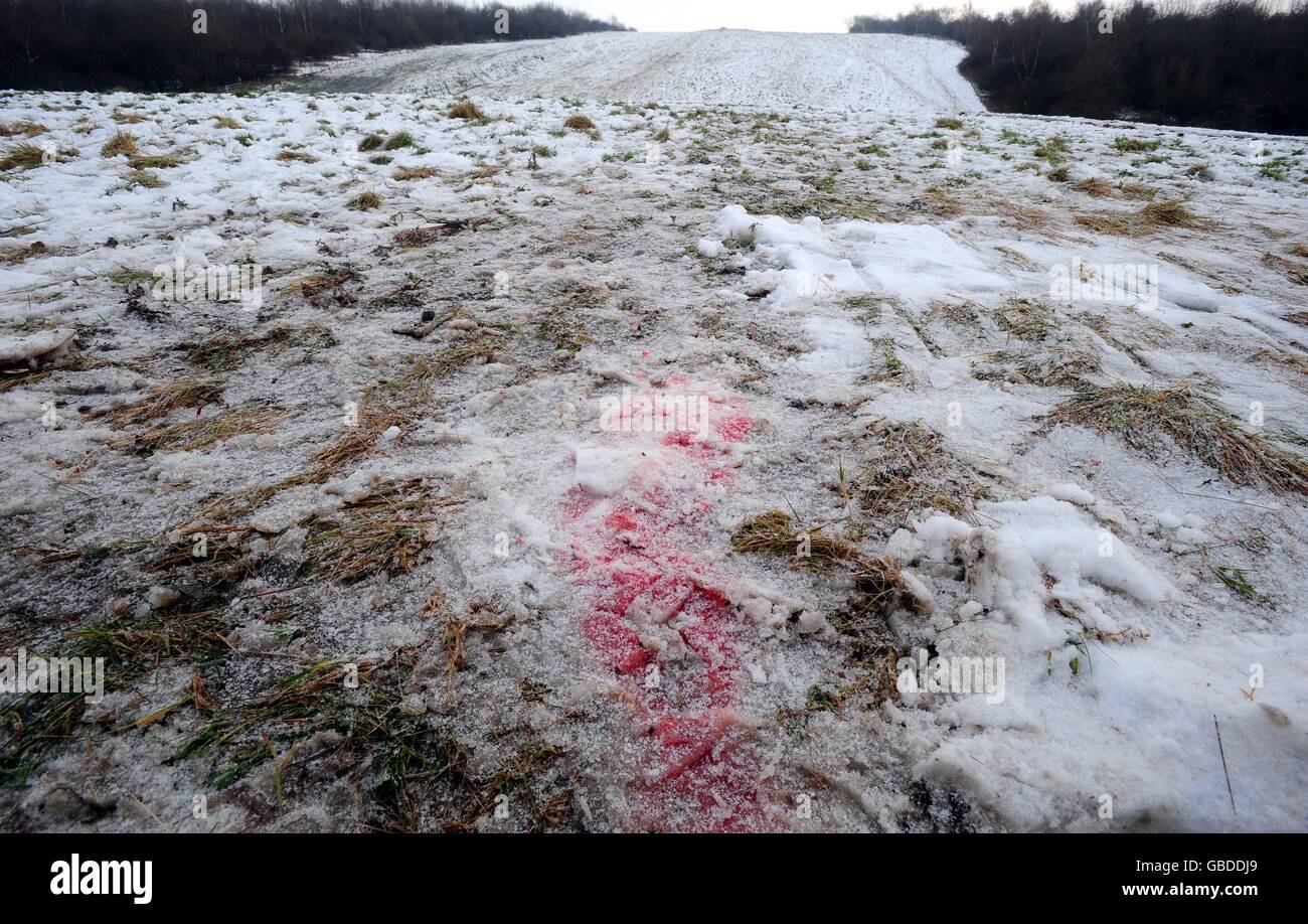 Vista generale della scena nel parco rurale della Valle di Rother, a Rotherham, nello Yorkshire meridionale dove Francesca Anobile fu ferito fatalmente mentre dormiva con gli amici. Foto Stock