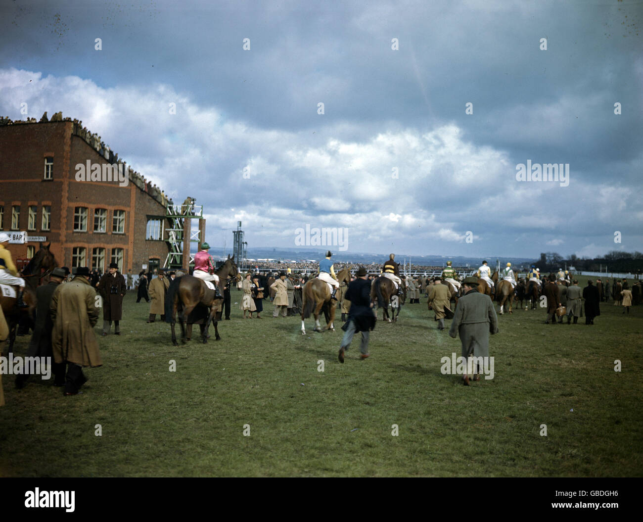 Corse di cavalli - Il Grand National - L'Aintree Racecourse - 1951 Foto Stock
