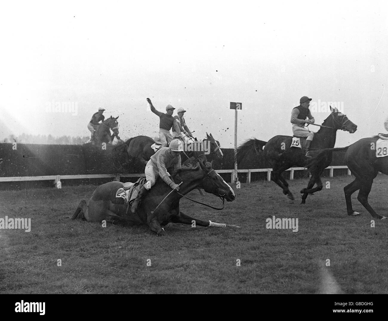 Corse di cavalli - handicap Waterside - Ippodromo di Lingfield Park - 1947. Jockey W. Redmond, che scivolò via 'Grand Way' sulla strada per la partenza, la lasciò di nuovo al fosso aperto. Foto Stock