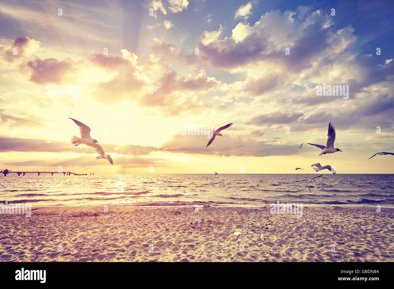 Vintage tonica spiaggia con uccelli in volo al tramonto. Foto Stock