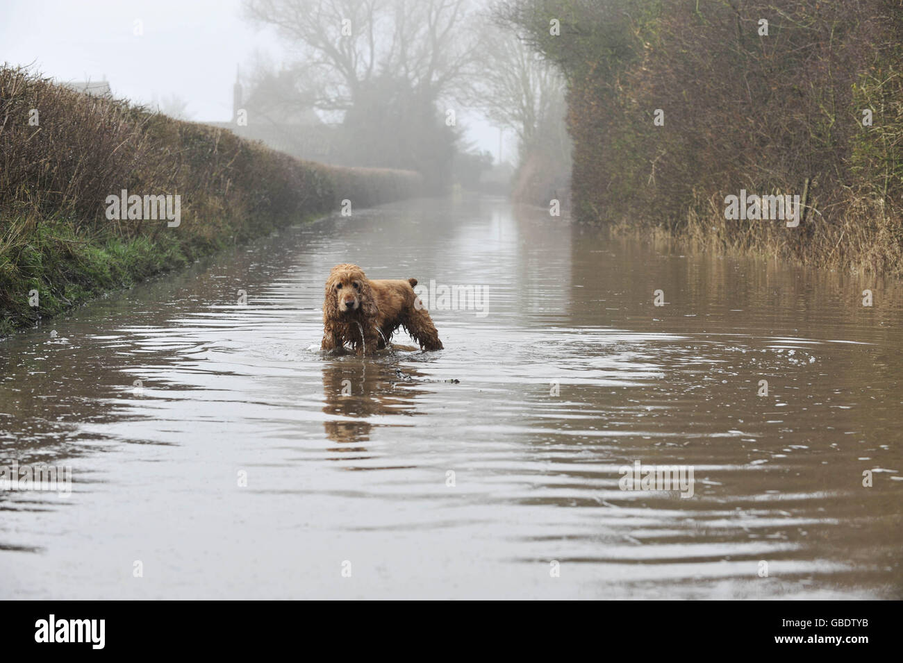 Clima invernale Foto Stock