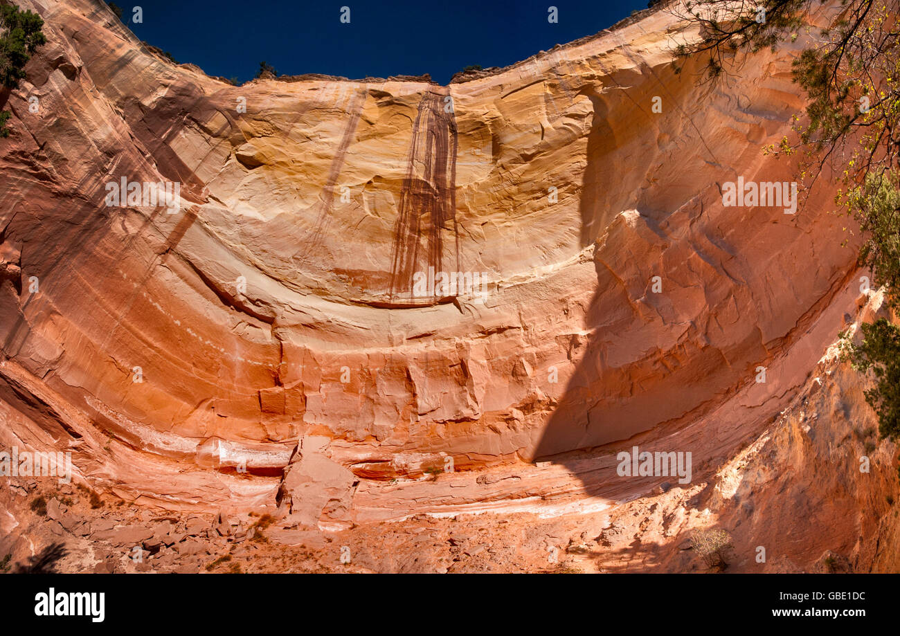 Echo anfiteatro naturale di roccia alcova con vernice del deserto in una scogliera a Mesa de las Viejas vicino Abiquiu, Nuovo Messico, STATI UNITI D'AMERICA Foto Stock