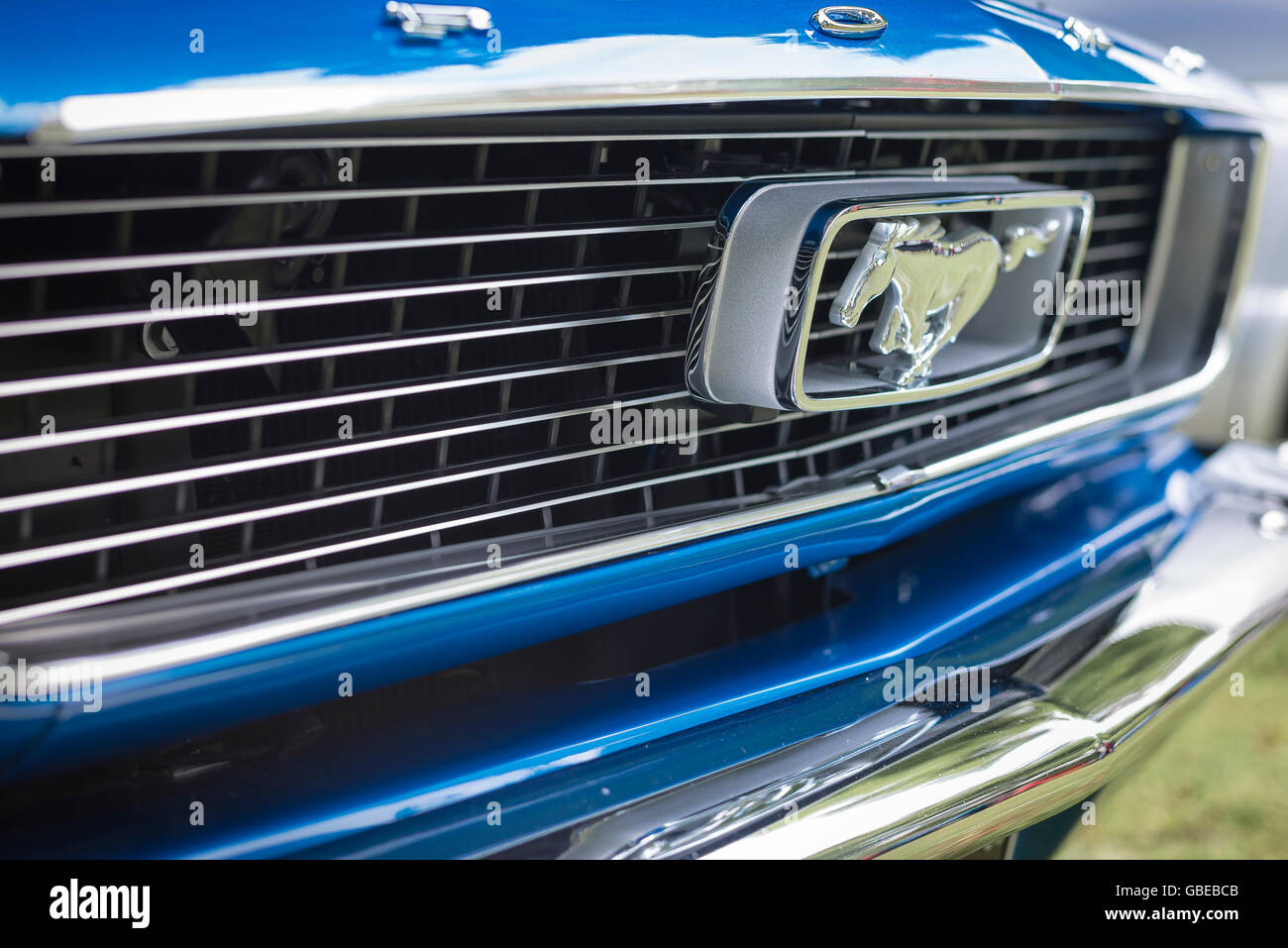 Dettaglio della griglia del radiatore e 'cavallo al galoppo' emblema di un blu 1965 Ford Mustang Coupe auto. Foto Stock