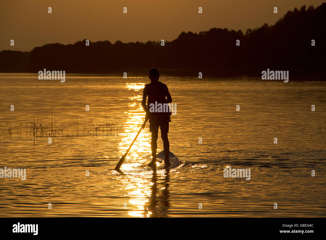 Silhouette boy sul sup-board stand up paddle board Foto Stock