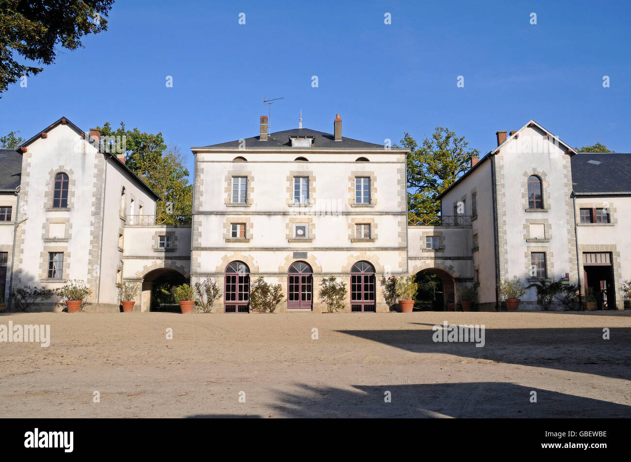 Haras nazionale, allevamento, La Roche-sur-Yon, Vendee, Pays de la Loire, Francia Foto Stock