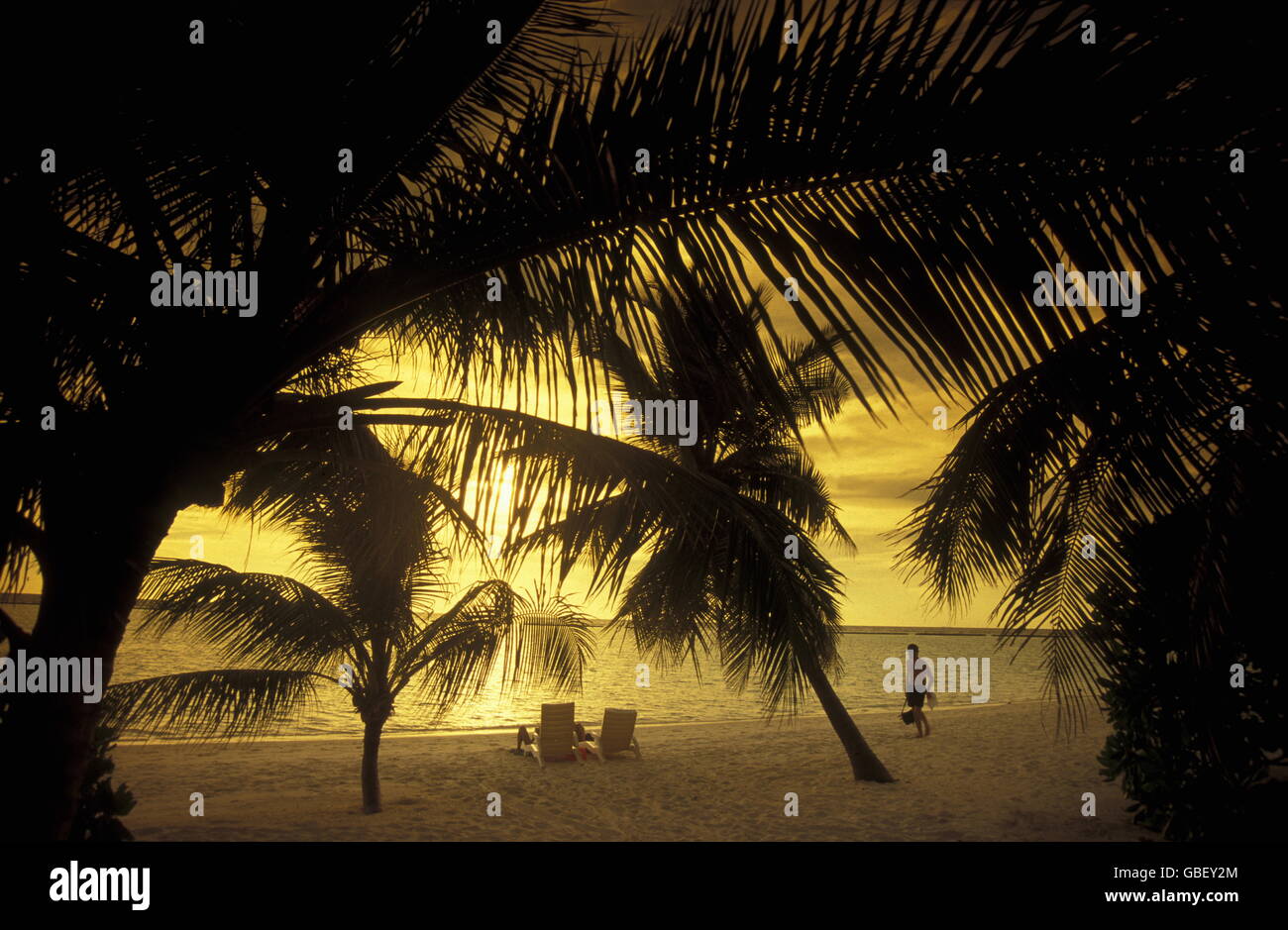 Der Strand im Abendlicht auf der Insel im Helengeli Atollo Northmale auf den isole der Malediven im Indischen Ozean. Foto Stock