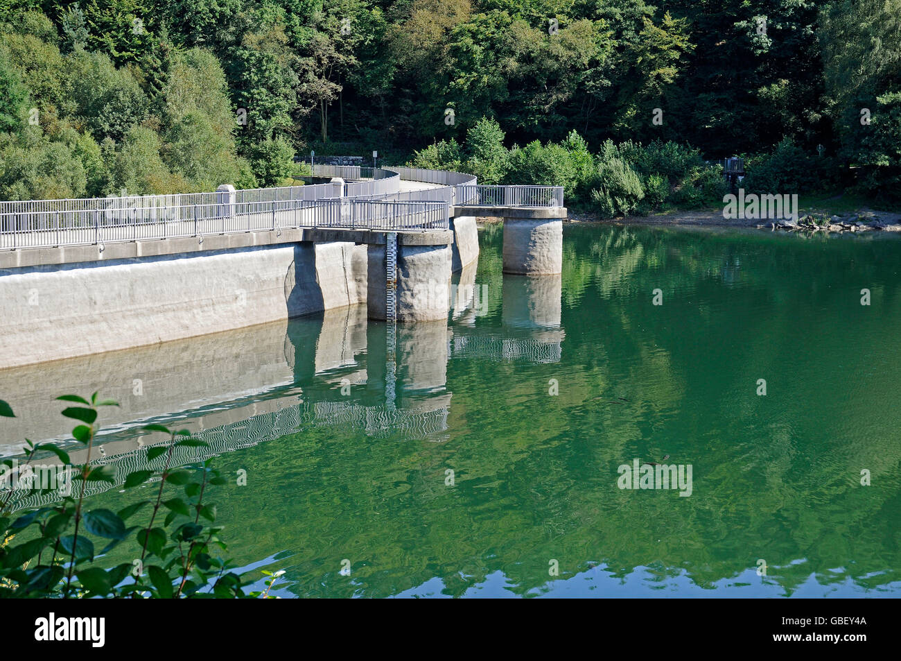 Serbatoio Glortalsperre, Breckerfeld, regione di Sauerland, Renania settentrionale-Vestfalia, Germania / dam e la parete di fissaggio, Glörtalsperre Foto Stock