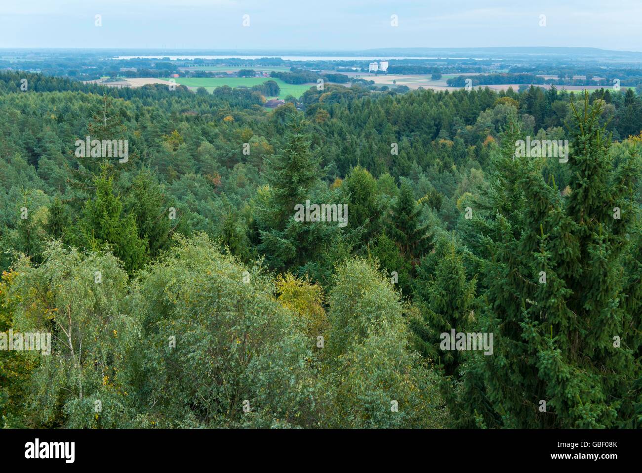 Bick vom Aussichtsturm am Mordkuhlenberg, Dammer Berge, Oldenburger Muensterland, Niedersachsen, Deutschland Foto Stock