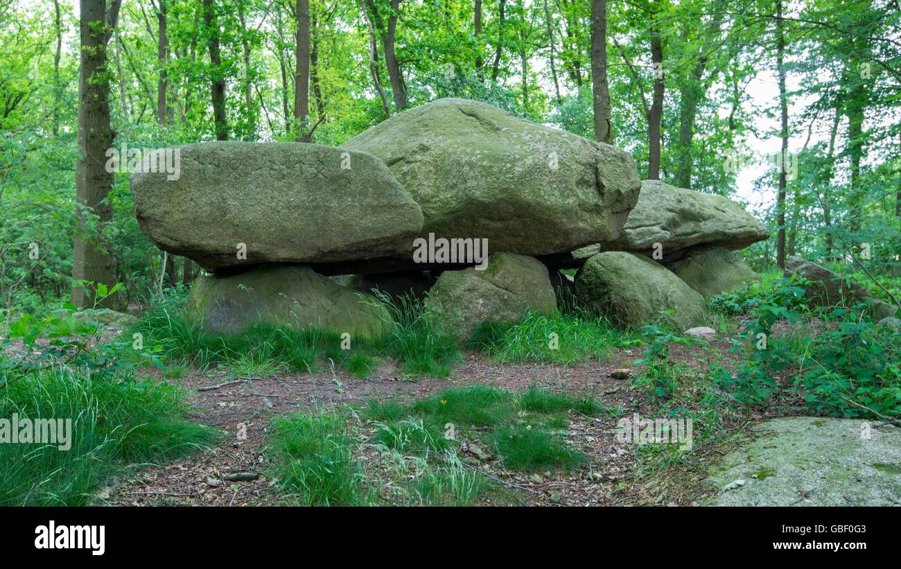 Teufelssteine, Grossteingrab Bischofsbrueck, Molbergen, Niedersachsen, Deutschland, Grosssteingrab Bischofsbr³ck Foto Stock