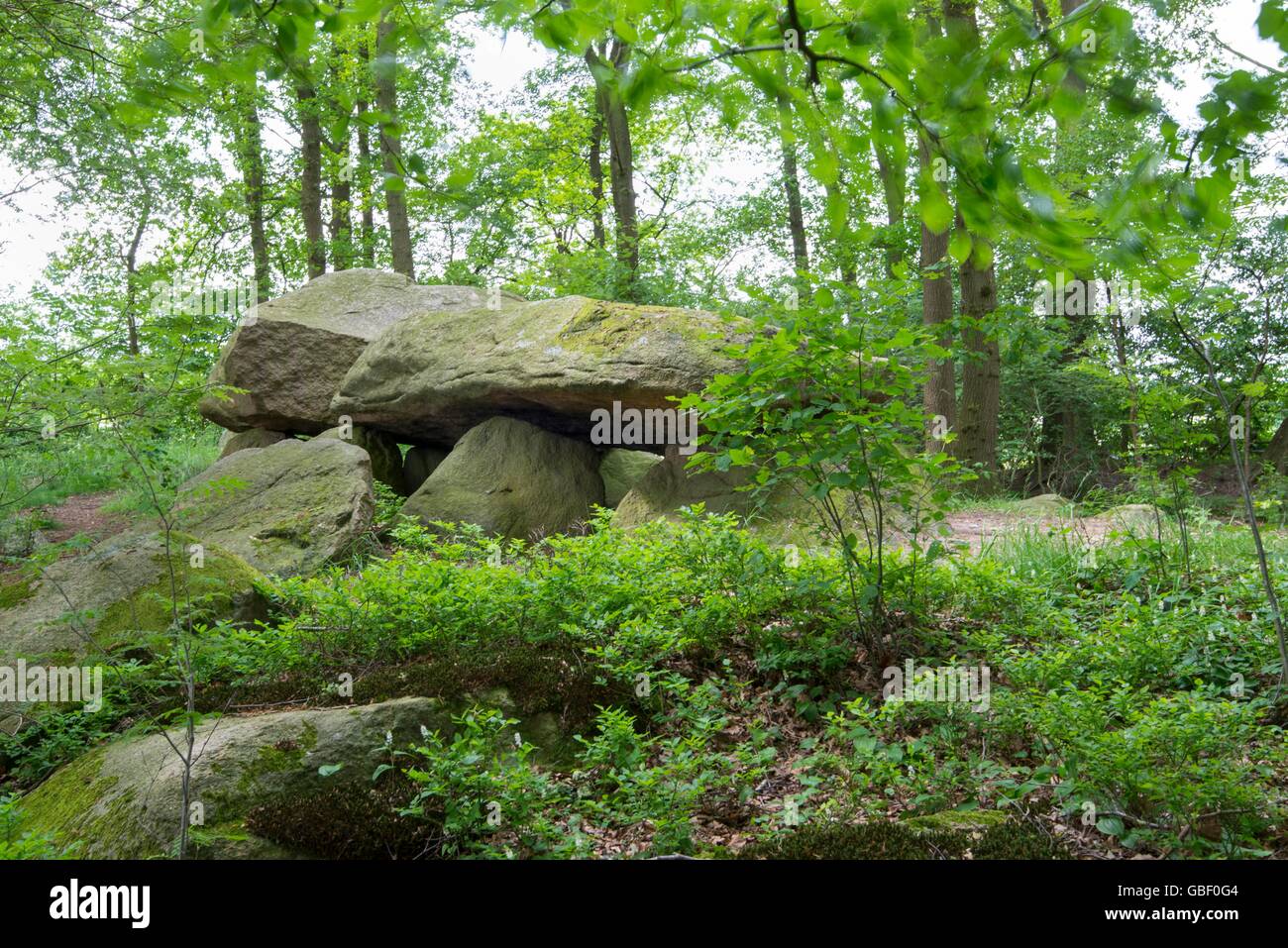 Teufelssteine, Grossteingrab Bischofsbrueck, Molbergen, Niedersachsen, Deutschland, Grosssteingrab Bischofsbr³ck Foto Stock