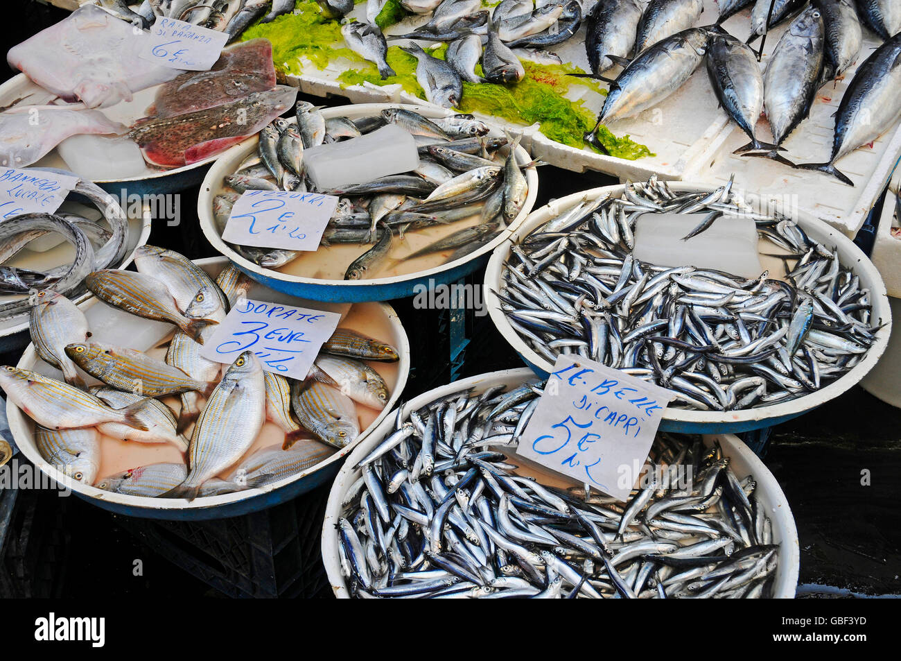 Supporto di pesce, Mercato di Pignasecca, mercato settimanale, street market, Napoli, campania, Italy Foto Stock