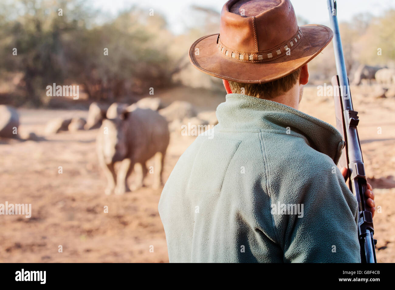 Ranger con arma da fuoco sta faccia a faccia con Rhino e orologi il comportamento della Rhino. Foto Stock