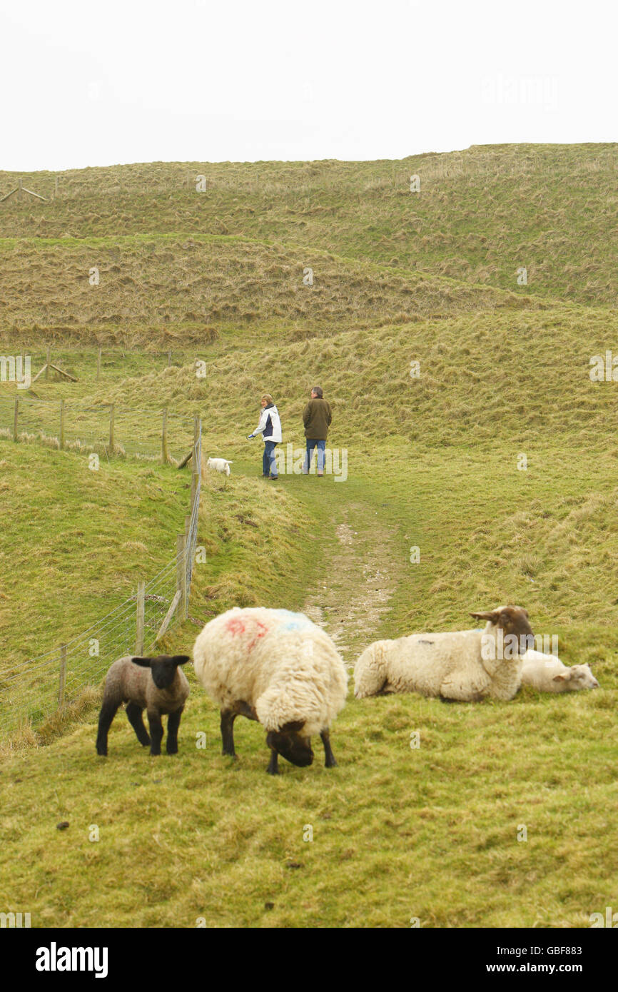 Azioni generali - punti di riferimento Dorset. GV di Maiden Castello vicino a Dorchester, Dorset. È la più grande e complessa collina dell'Età del ferro nel Regno Unito. Foto Stock