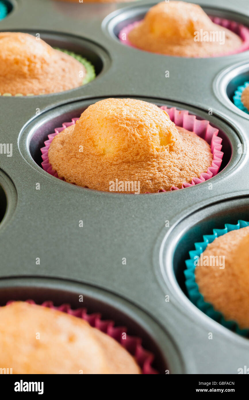 Freschi di forno tortini di spugna o torte di fata in un muffin tin direttamente dal forno Foto Stock