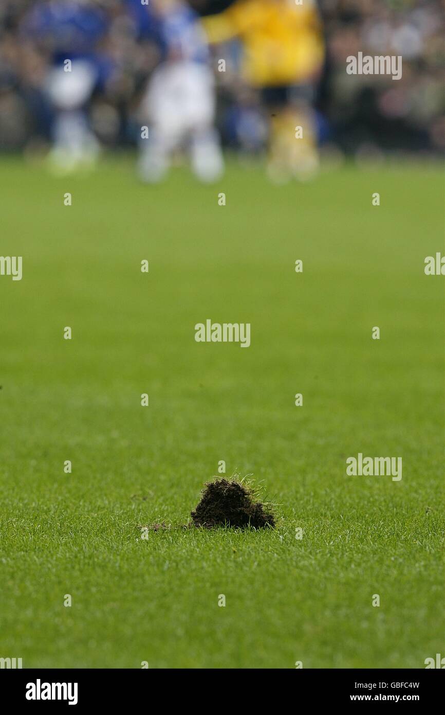 Calcio - Barclays Premier League - Everton v West Bromwich Albion - Goodison Park. Vista generale di una deviazione sollevata dal suolo Foto Stock