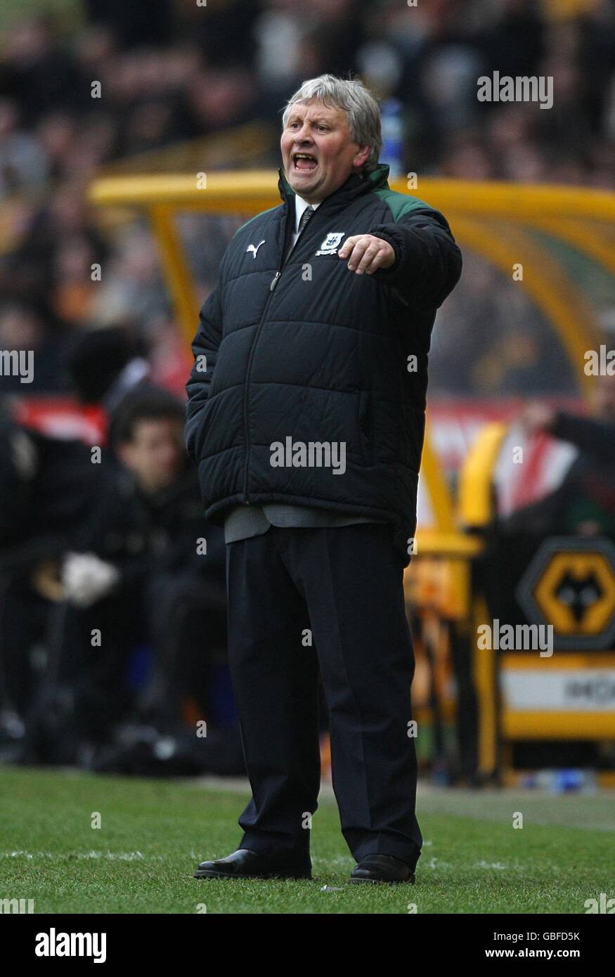 Calcio - Coca Cola Football League Championship - Wolverhampton Wanderers v Plymouth Argyle - Molineux Foto Stock