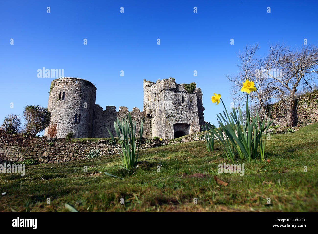 Manorbier Castle, vicino a Tenby, Pembrokeshire, Galles del sud. Foto Stock