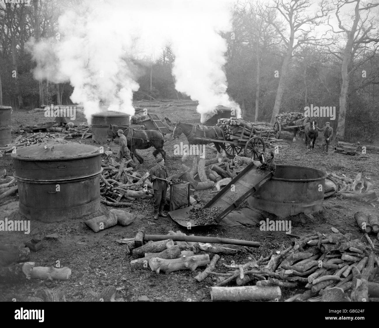 Bruciatori di carbone Bert Richardson (a sinistra) e Tom West, svuotando un forno in King's Hat Wood, vicino Beaulieu, Hampshire, come gli uomini della Commissione forestale Edward (a sinistra) e Bob Kitchen, di Beaulieu, portare forniture fresche di legno su carri trainati da cavalli. Foto Stock