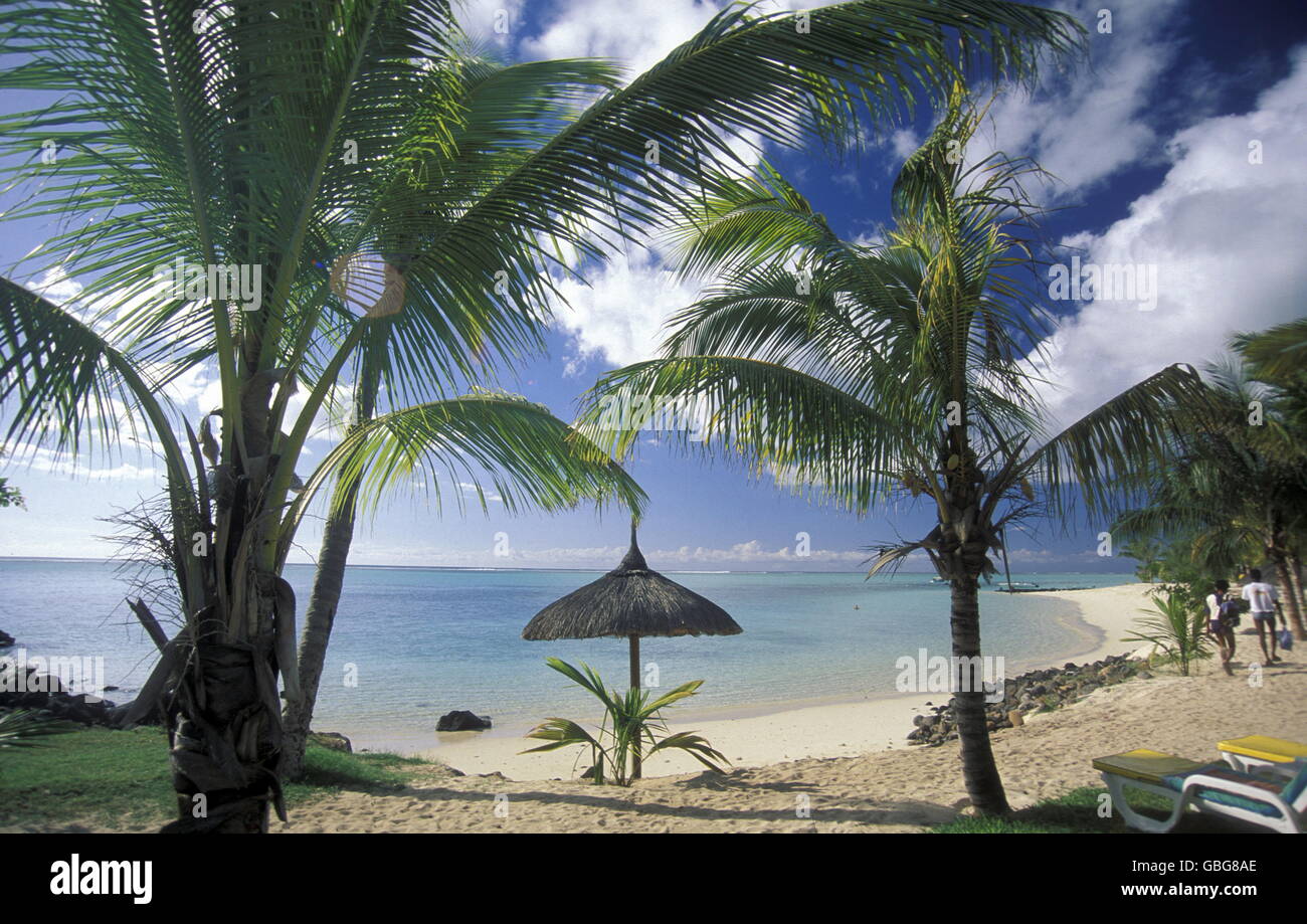 Palme sulla spiaggia dell'isola di Mauritius in Oceano Indiano Foto Stock
