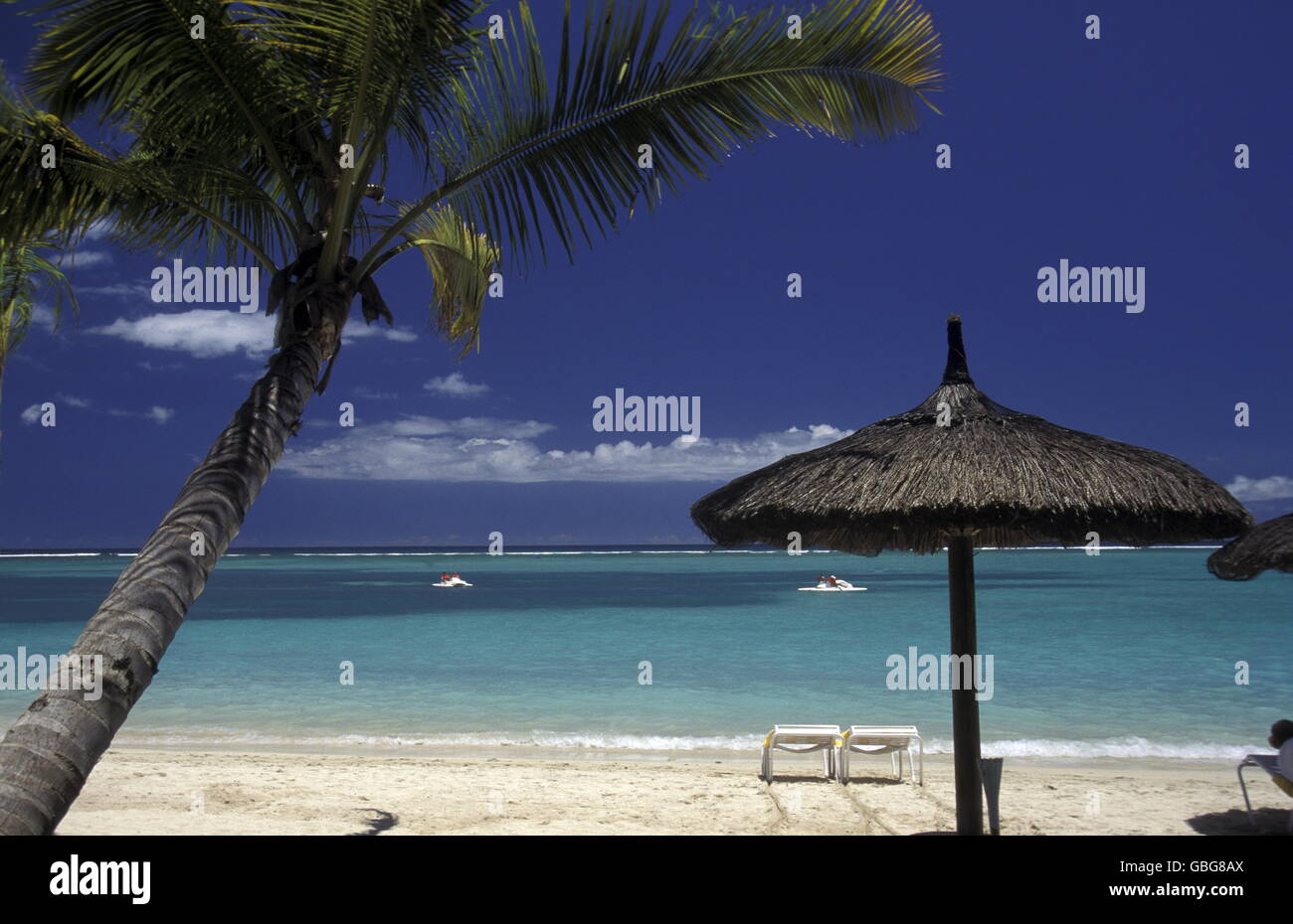 Palme sulla spiaggia dell'isola di Mauritius in Oceano Indiano Foto Stock