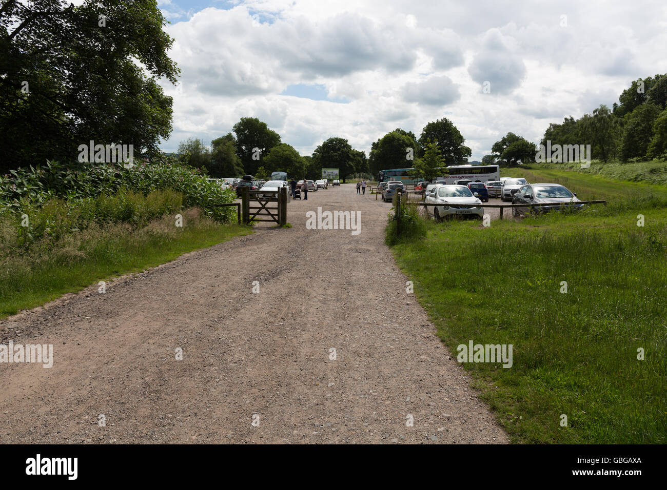 Trentham Gardens Monkey Forest Foto Stock