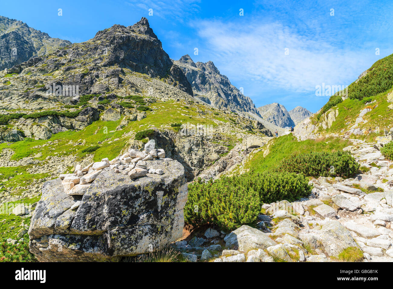Sentiero escursionistico a valle Starolesna in Alti Tatra su soleggiate giornate estive, Slovacchia Foto Stock