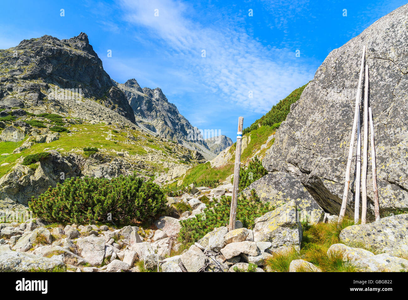 Sentiero escursionistico a valle Starolesna in Alti Tatra su soleggiate giornate estive, Slovacchia Foto Stock