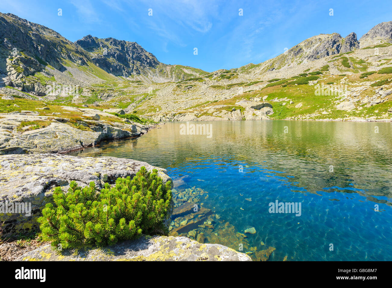 Vista del bellissimo lago alpino in estate il paesaggio della valle Starolesna, Alti Tatra, Slovacchia Foto Stock