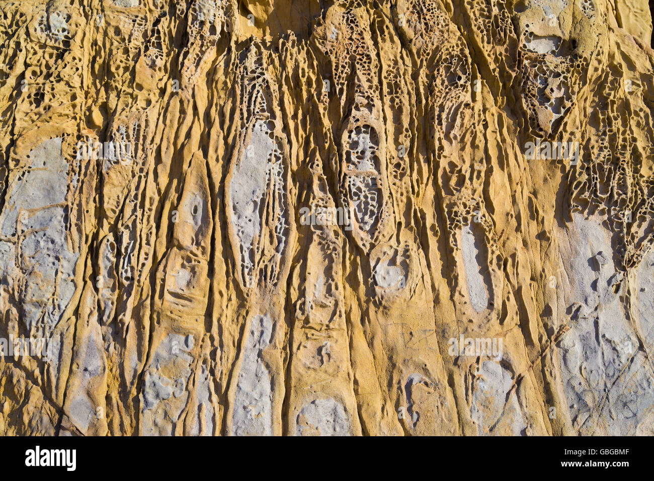 Primo piano della dura pietra honeycomd background a Garrapata State Beach, California, Stati Uniti d'America Foto Stock