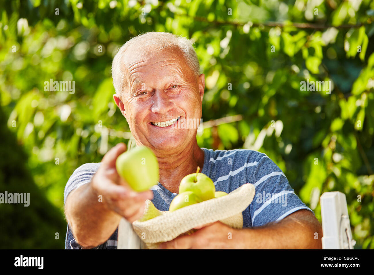 Senior agricoltore sensazione di gioia a causa della stagione di raccolto nella collezione autunno Foto Stock