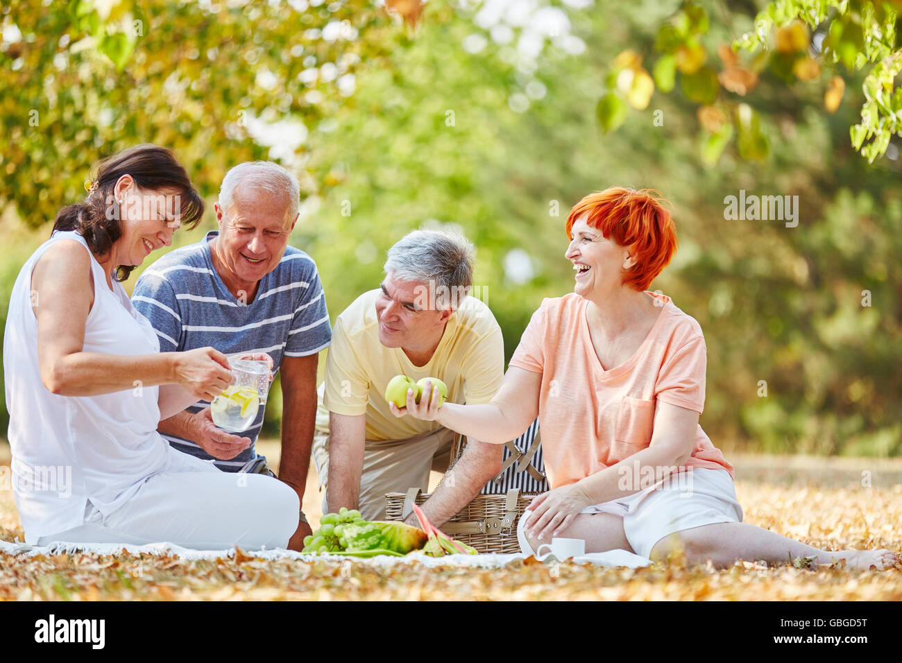 Un gruppo di cittadini anziani facendo un picnic nel parco Foto Stock
