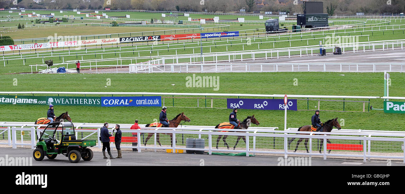 Corse di cavalli - Cheltenham Festival 2009 - terzo giorno - Cheltenham Racecourse. I cavalli ritornano dalle galoppe di prima mattina prima che la corsa inizi il terzo giorno all'ippodromo di Cheltenham, Cheltenham. Foto Stock