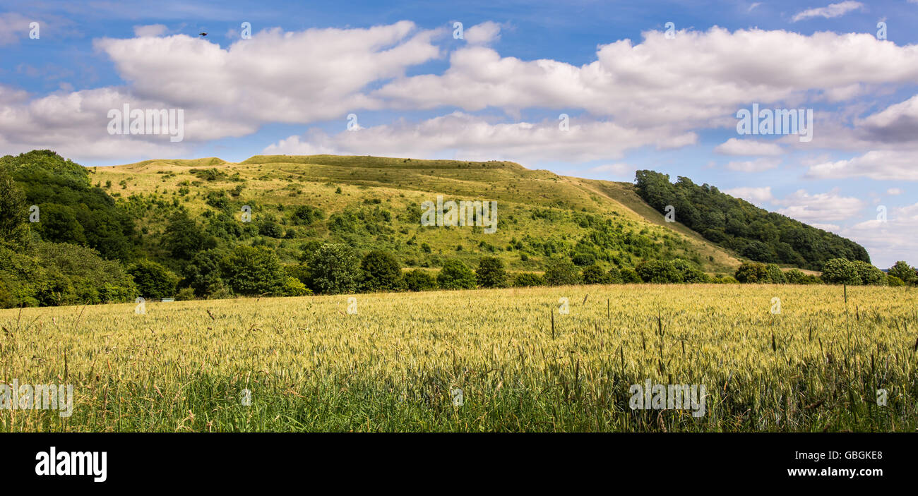 Battlesbury Hill nel Wiltshire panorama. Sito di Iron Age Fort sul bordo della Piana di Salisbury, vicino Warminster, England, Regno Unito Foto Stock