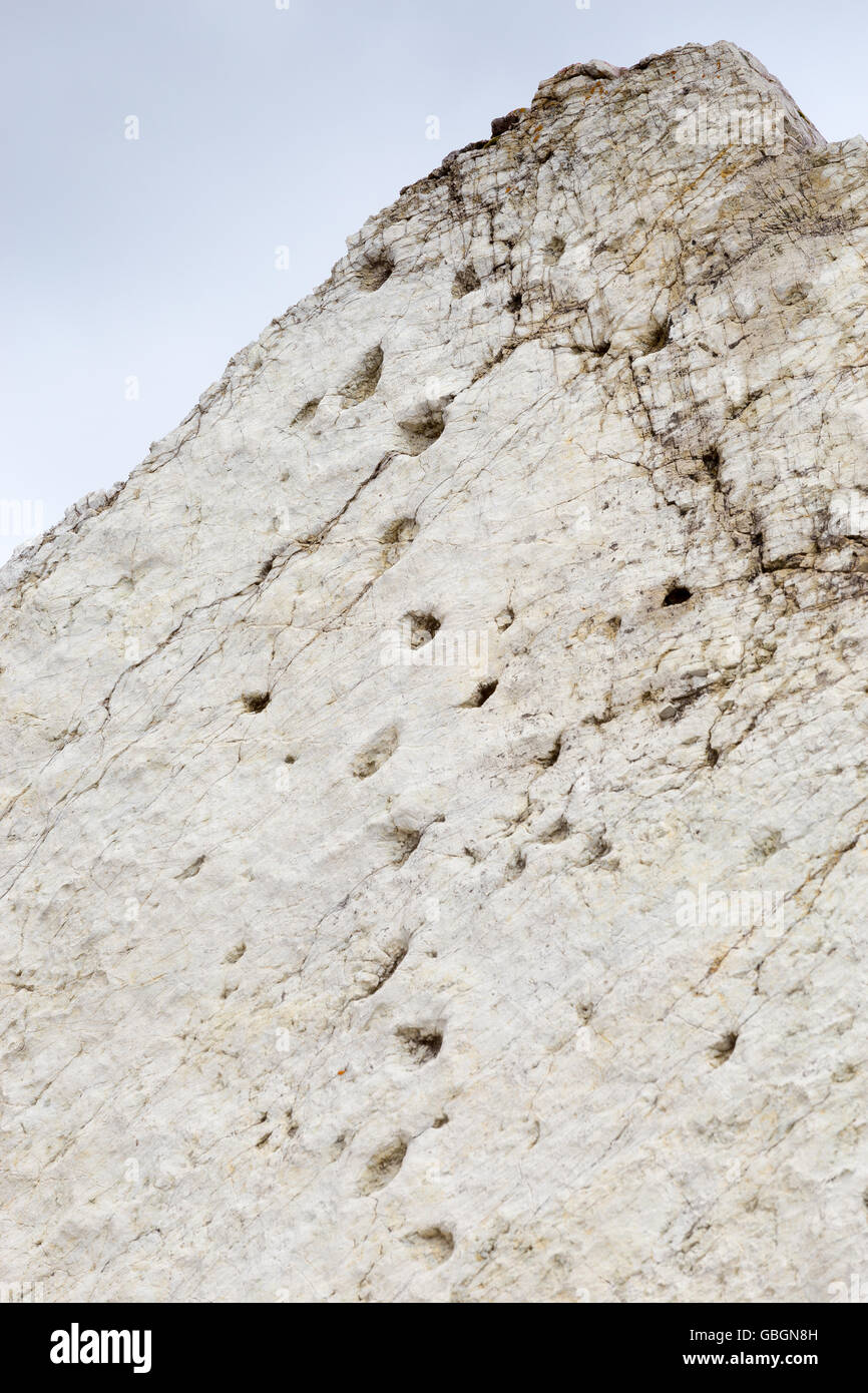 Impronte di dinosauri. Monte Pelmetto. Massa delle principali Dolomiti. Pronte di dinosauro. Le Dolomiti. Alpi Italiane. Europa. Foto Stock