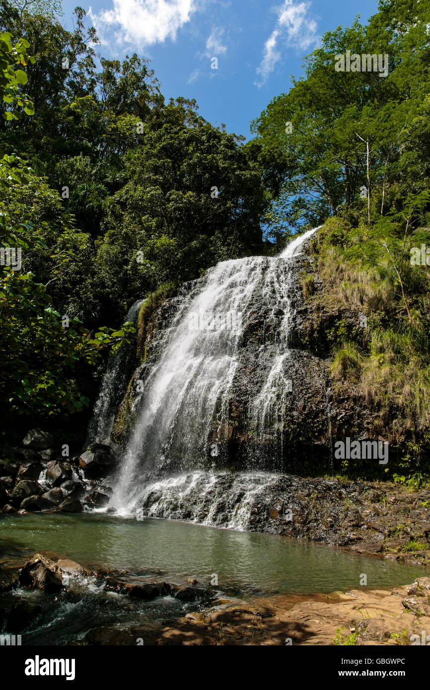 Una cascata in Hawaii con un foro di nuoto Foto Stock