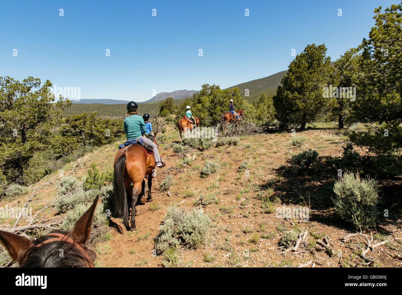 Cavalieri e cavalli sul sentiero guidato la corsa in Nuovo Messico Foto Stock