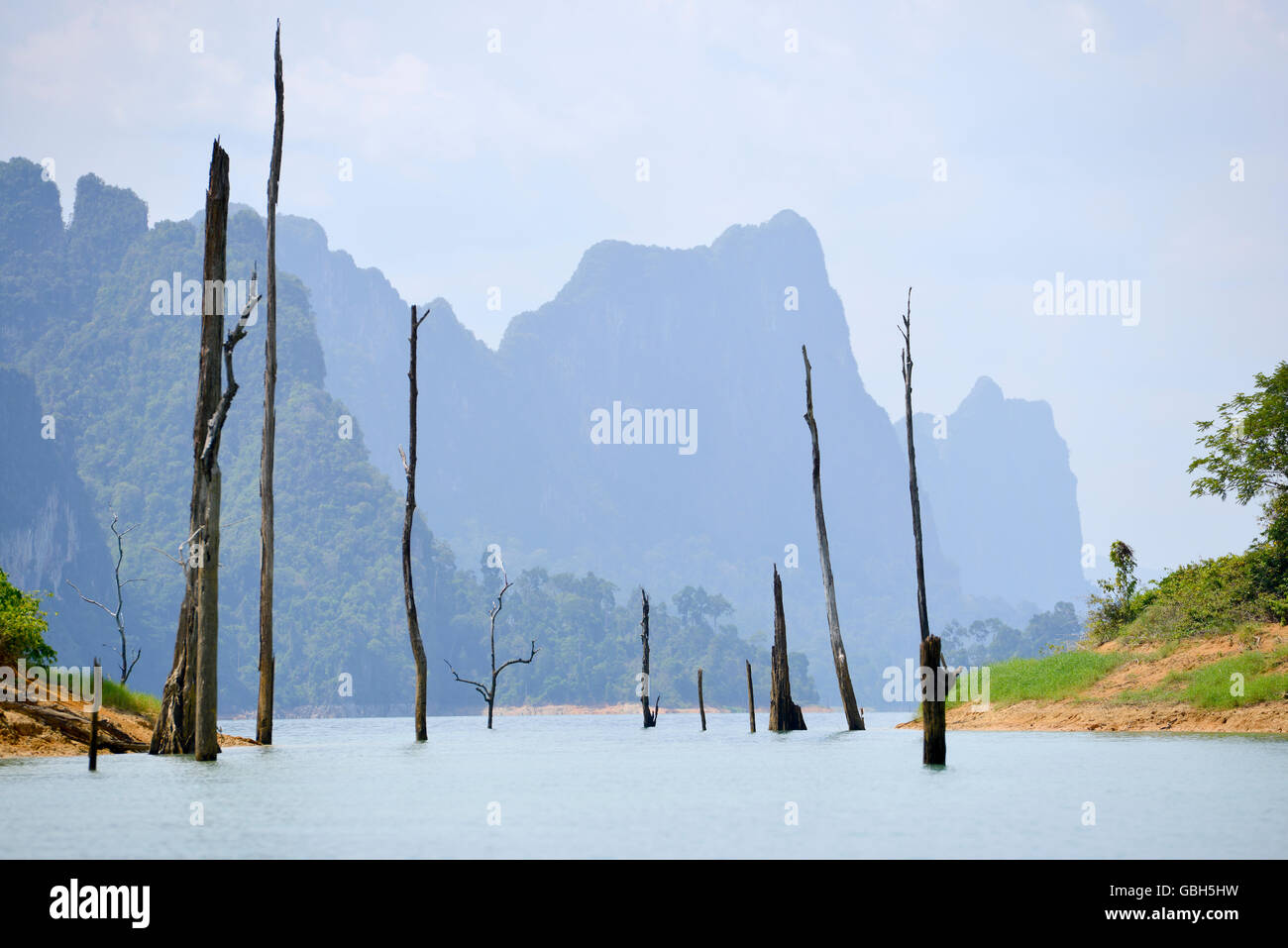 Albero morto fuori dell'acqua dal Lago Parco nazionale Khao Lak Foto Stock