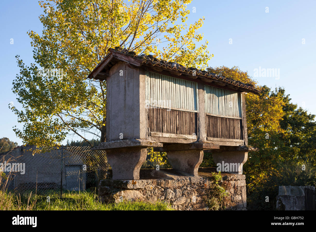 San Xulián do Camiño, Spagna: Stone granaio (hórreo) nei pressi della chiesa di San Xulián do Camiño. Foto Stock