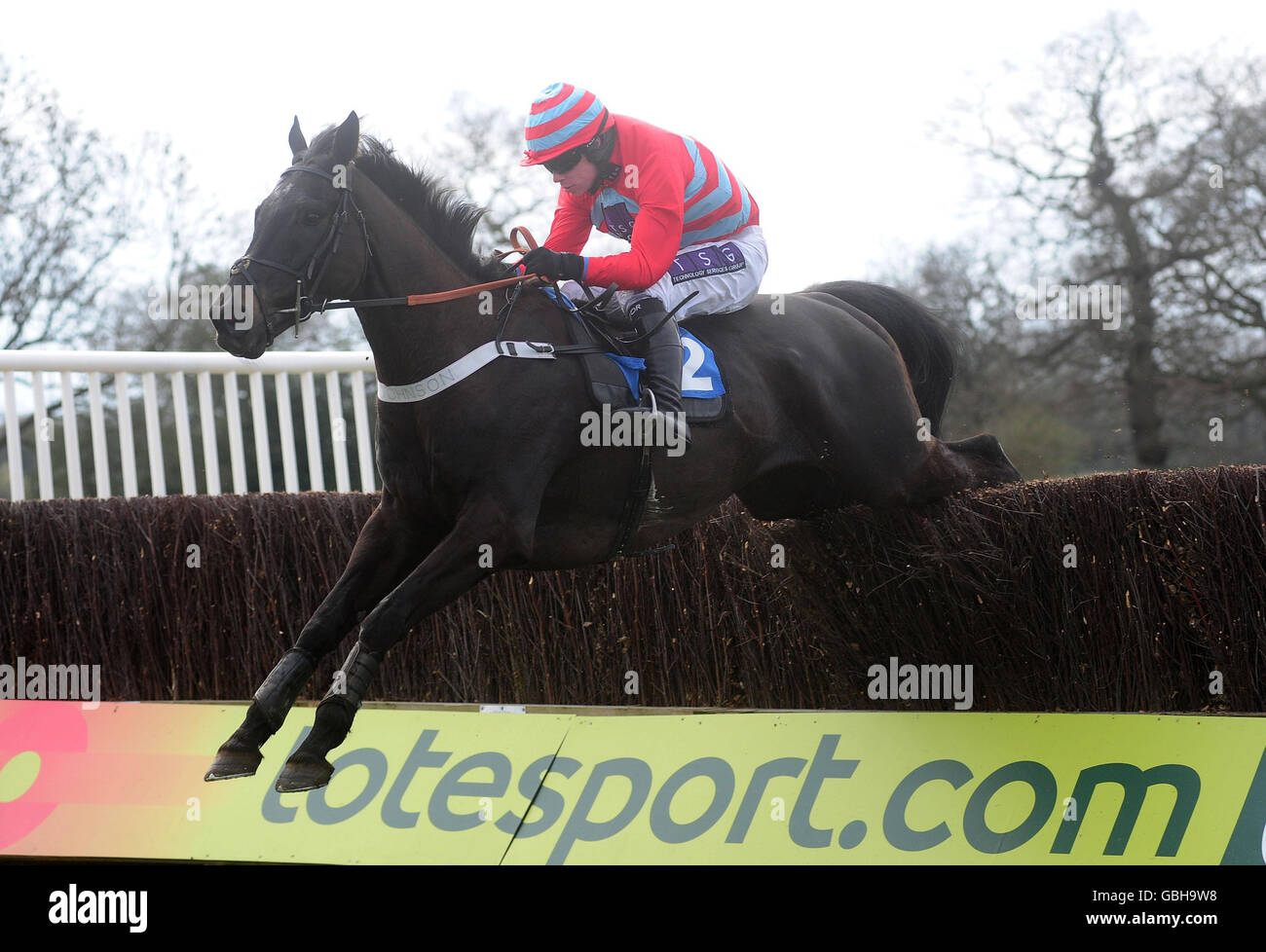 Horse Racing - Wetherby Racecourse Foto Stock