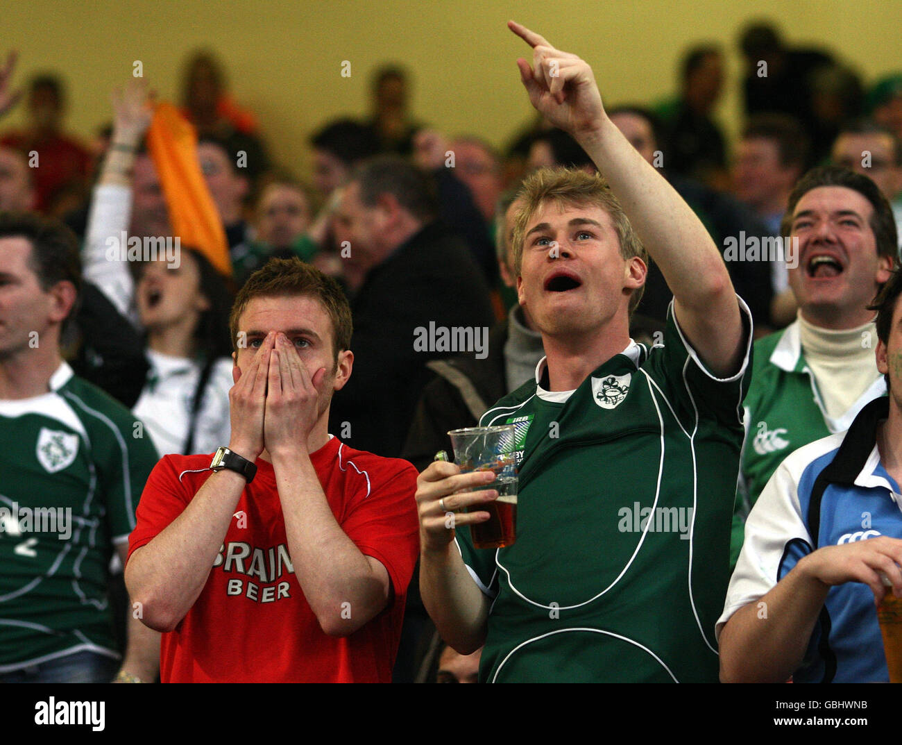 I fan irlandesi celebrano la prova di Tommy Bowe durante la partita RBS Six Nations al Millennium Stadium di Cardiff, Galles. Foto Stock