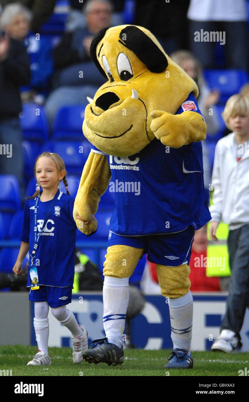 Calcio - Coca-Cola Football League Championship - Birmingham City v Norwich City - St Andrews Stadium. Mascotte della città di Birmingham Beau Brummie Foto Stock